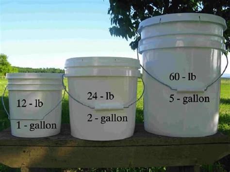 How Much Does 5 Gallons of Paint Weigh? And Why Does It Feel Like Carrying a Small Elephant?