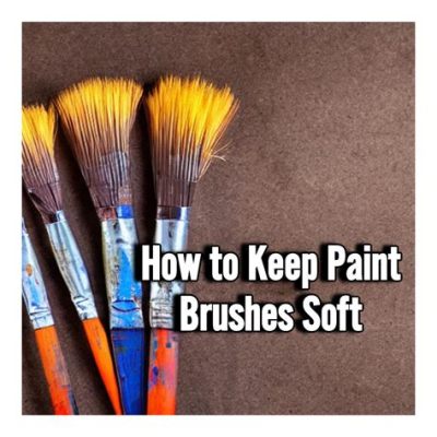 How to Make Paint Brushes Soft Again: A Journey Through the Brush's Second Life