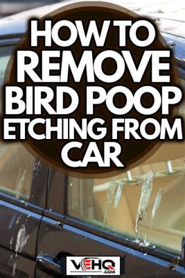 How to Remove Bird Poop from Car Without Damaging Paint: A Comprehensive Guide