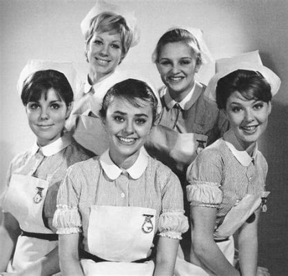  The Nurses – Ein Streifzug durch die Welt der Krankenschwestern und medizinischen Dramen der 1960er Jahre!